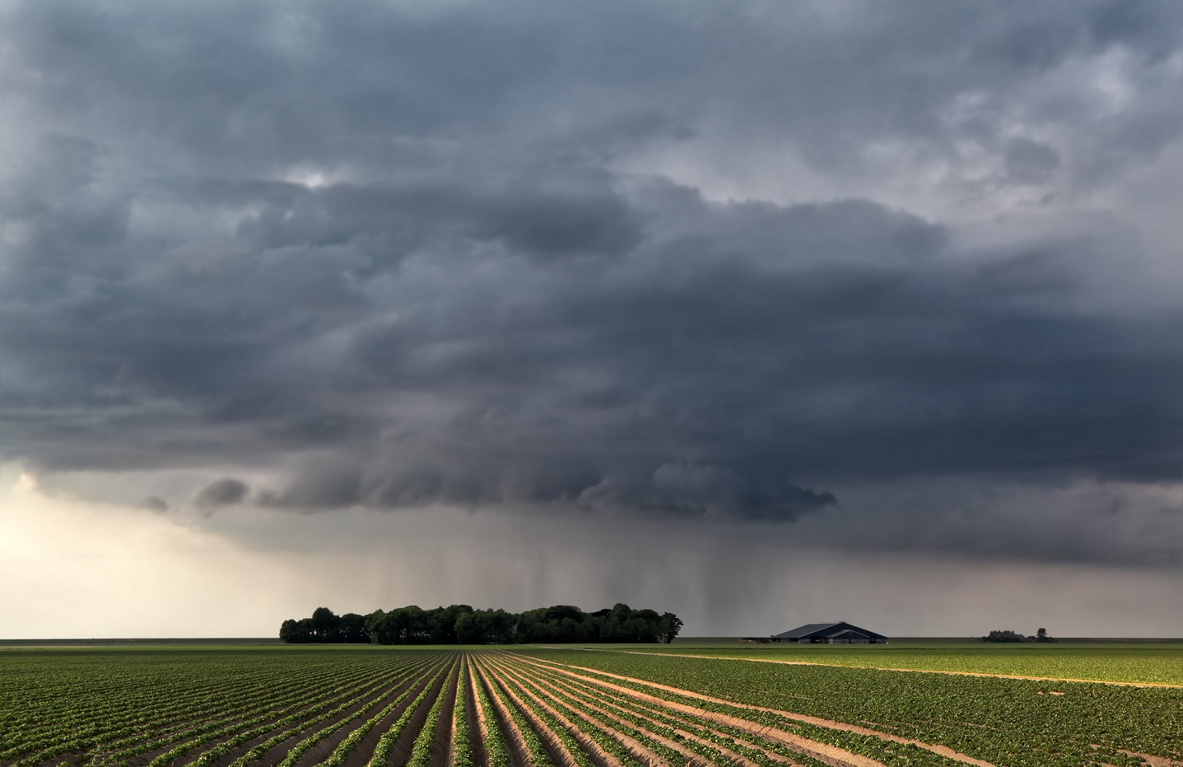 Bringing water usage insights to every FieldNET grower.